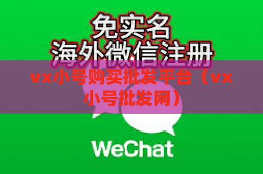 vx小号购买批发平台（vx小号批发网）